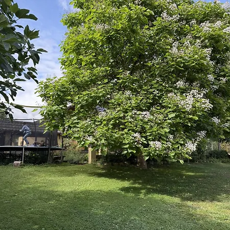 L'alouette L Grande Maison Familiale & Paisible Au Coeur De St Pierre De Trivisy بيت للعطل *