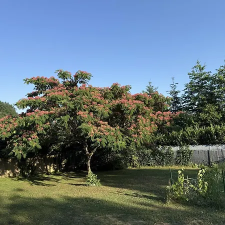 L'alouette L Grande Maison Familiale & Paisible Au Coeur De St Pierre De Trivisy بيت للعطل
